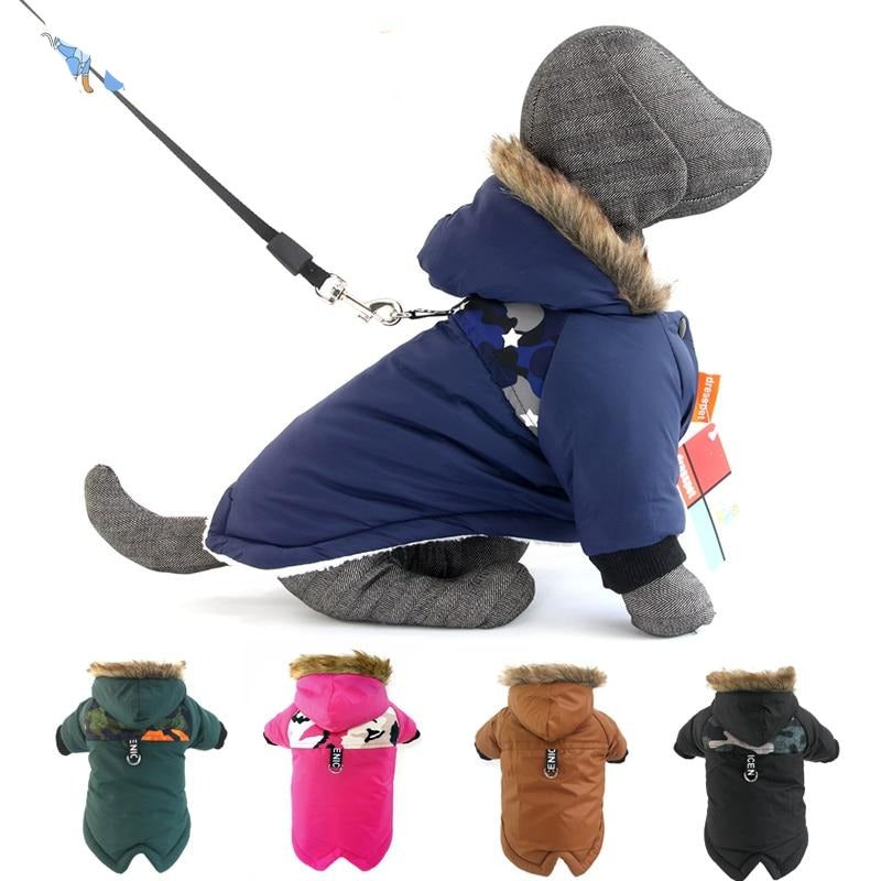 Dachshund Winter Coat for Extreme winter- Dachshund Shop.jpg