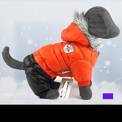 Dachshund Winter Jacket - Dachshund Shop