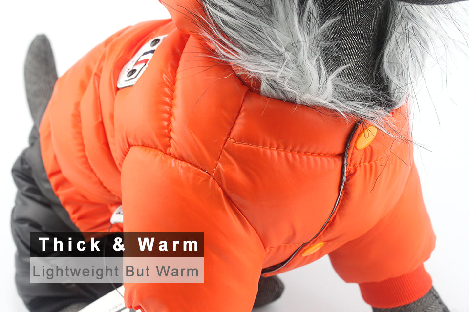 Dachshund Winter Jacket - Dachshund Shop