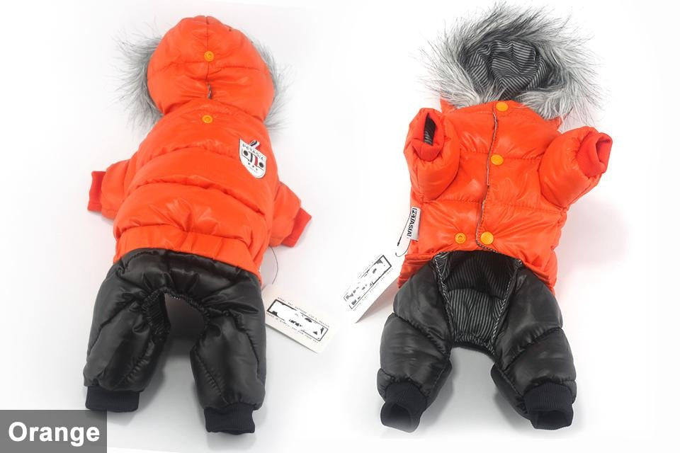 Dachshund Winter Jacket - Dachshund Shop