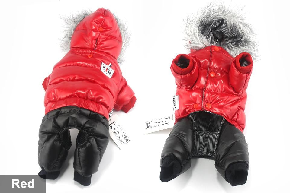 Dachshund Winter Jacket - Dachshund Shop