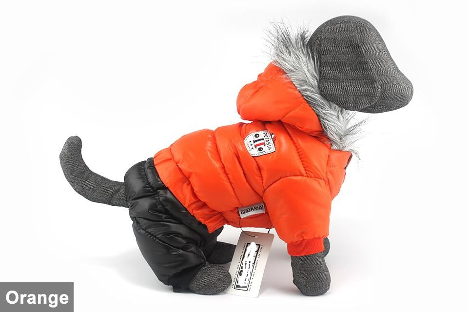 Dachshund Winter Jacket - Dachshund Shop