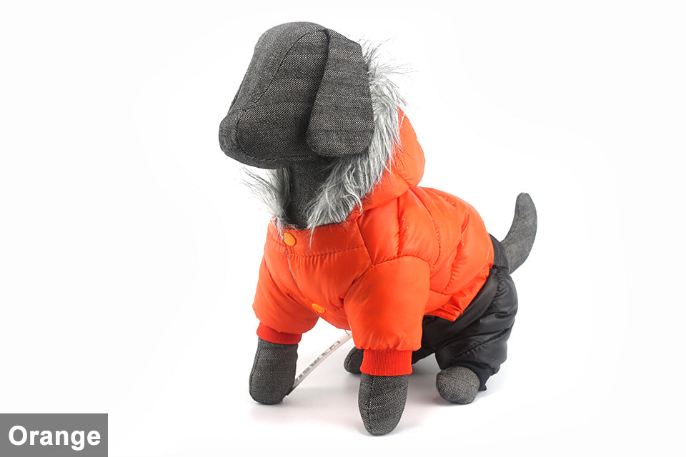 Dachshund Winter Jacket - Dachshund Shop