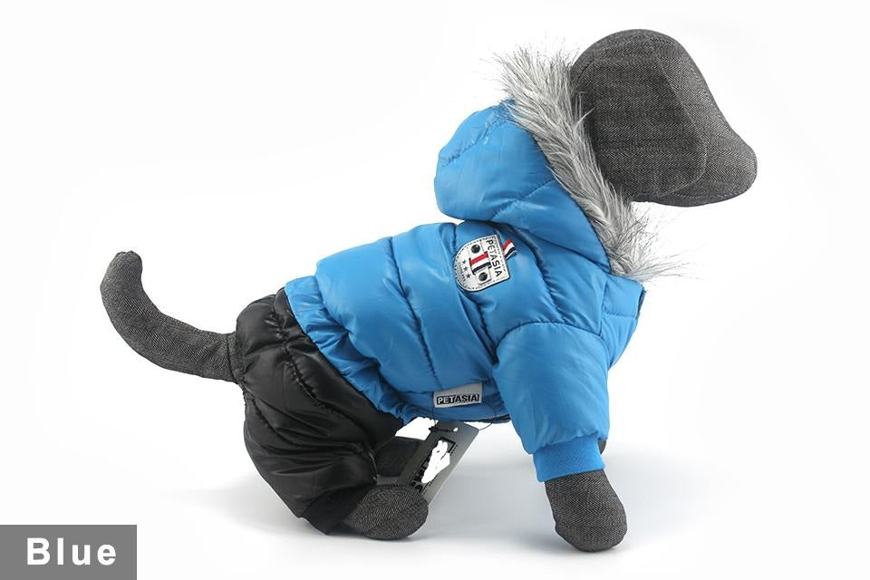 Dachshund Winter Jacket - Dachshund Shop