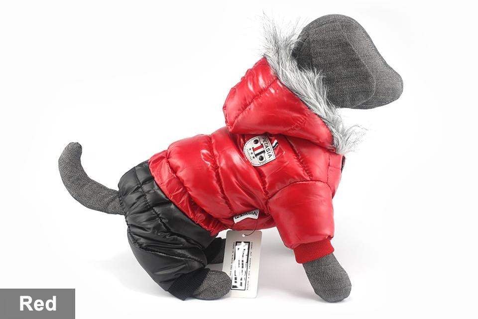 Dachshund Winter Jacket - Dachshund Shop