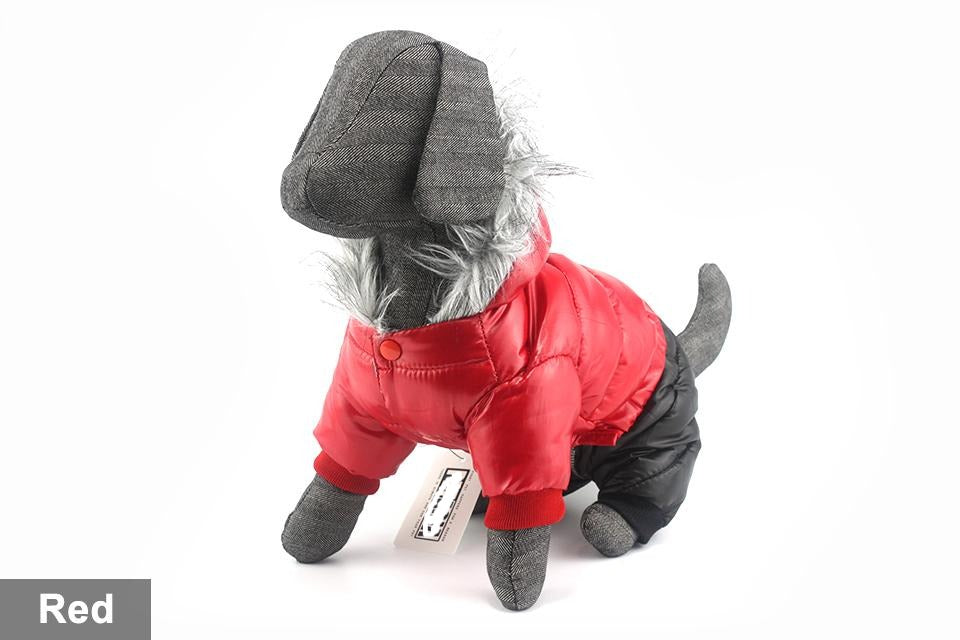 Dachshund Winter Jacket - Dachshund Shop